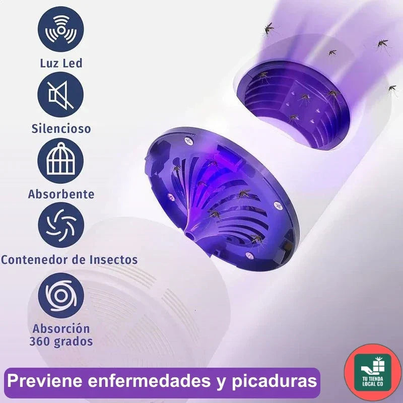 LAMPADA