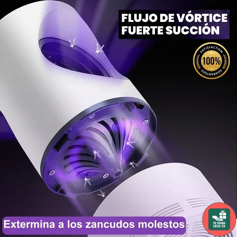 LAMPADA
