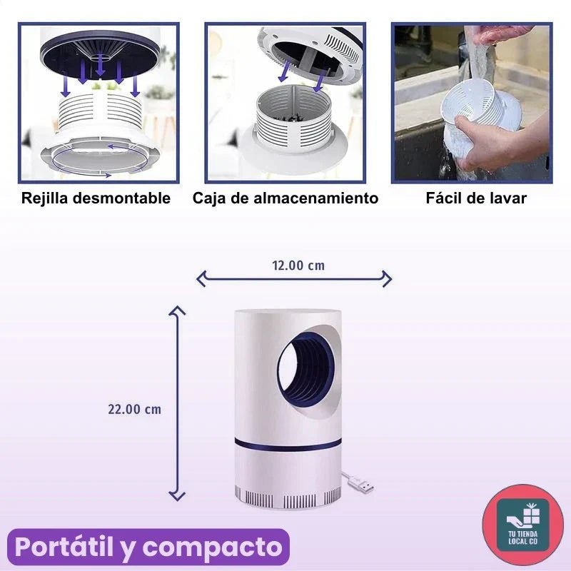 LAMPADA
