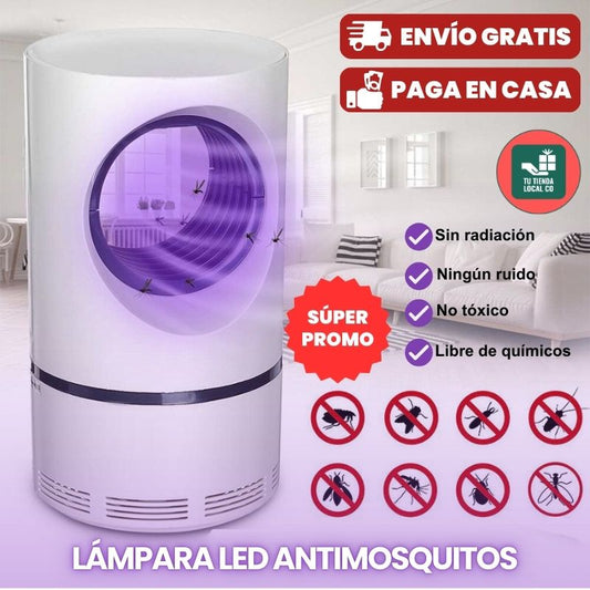 LAMPADA